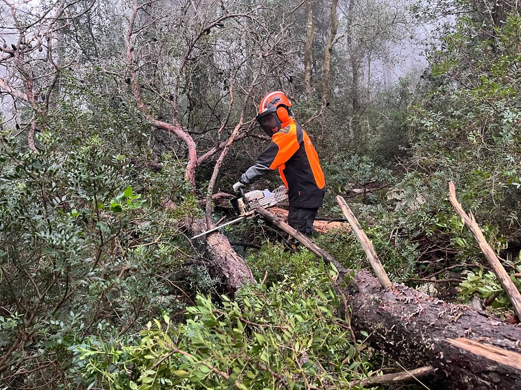 Prevenzione incendi Castellaneta